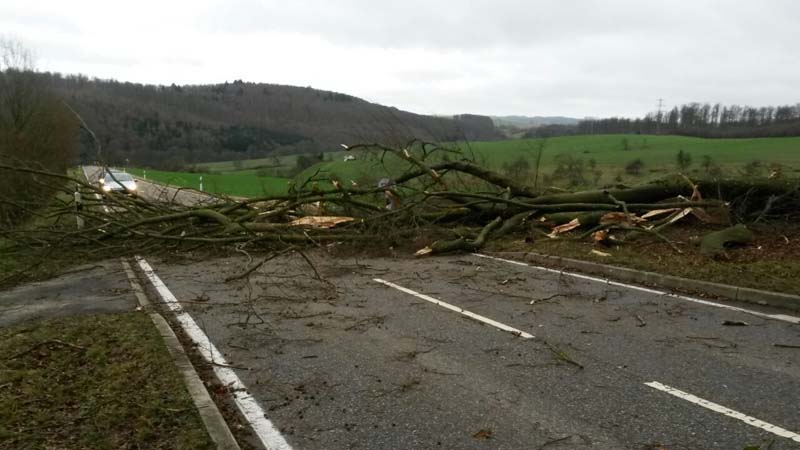 Bild "Einsatzberichte:090115_Tech.Hilfe_Baum.jpg"