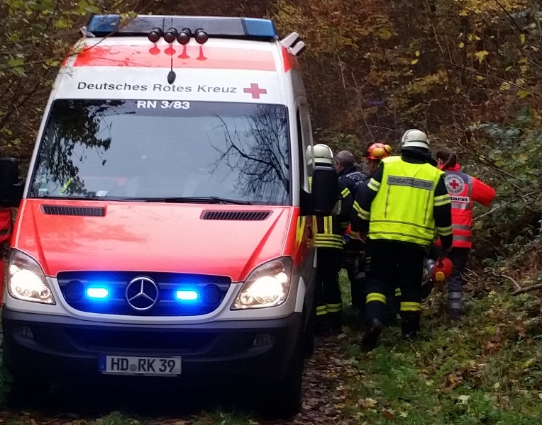 Bild "Einsatzberichte:15112014_Einsatz_THL_Wald.jpg"
