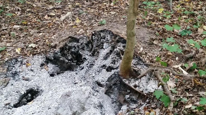 Bild "Einsatzberichte:190815_1_Waldbrand.jpg"