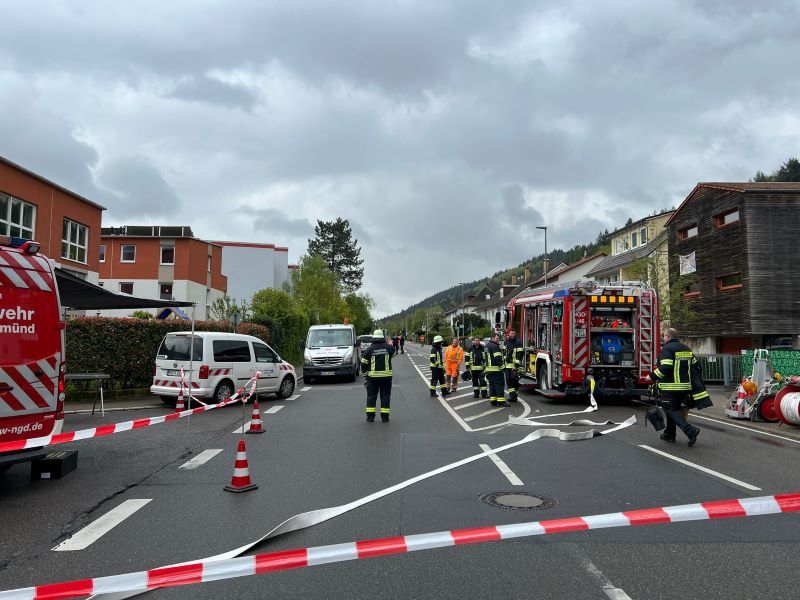 Bild "Einsatzberichte:20240425_Einsatz_Gas_NGD.jpeg"