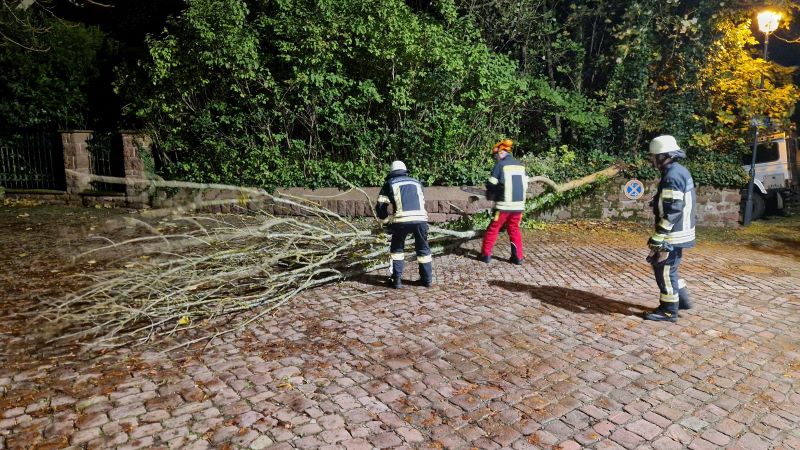 Bild "Einsatzberichte:20241010_Einsatz_Baum_Geraetehaus.jpg"