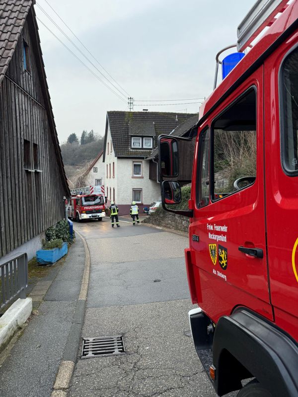 Bild "Einsatzberichte:20250312_Einsatz_Tragehilfe_Rainbach.jpg"